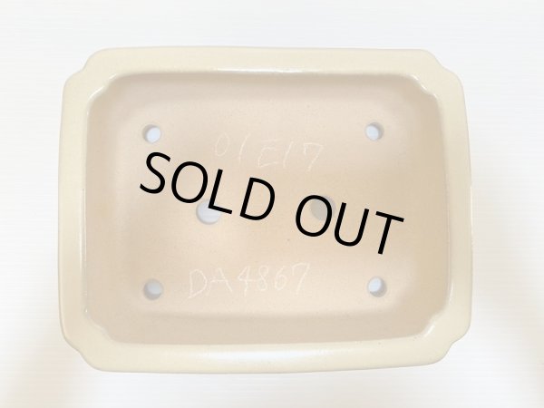 画像4: No.DA4867 黎鳳 (4)