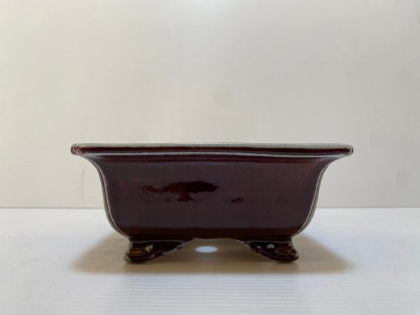 画像3: No.DA4868 鴻陽 (3)