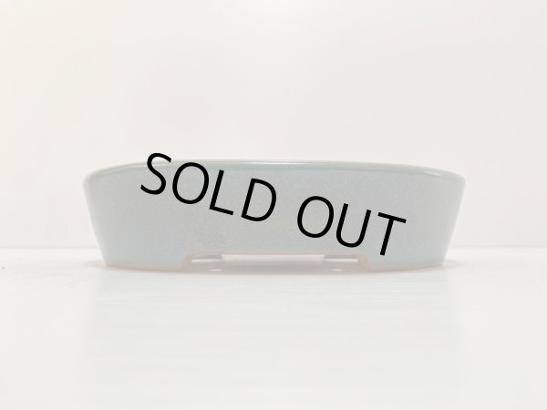 画像2: No.DA4870 黎鳳 (2)