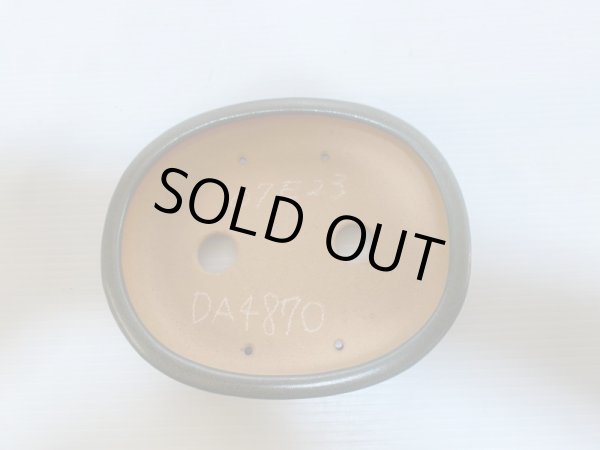 画像4: No.DA4870 黎鳳 (4)