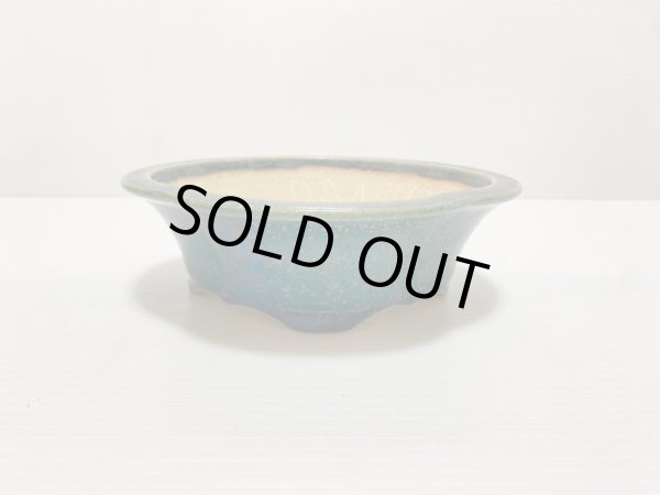 画像1: No.DA4873 鴻陽 (1)