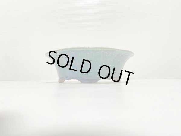 画像2: No.DA4873 鴻陽 (2)