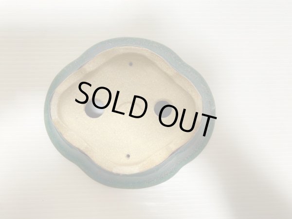 画像5: No.DA4873 鴻陽 (5)