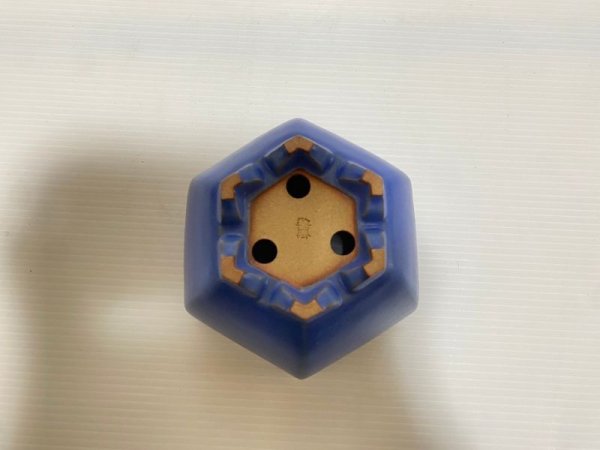 画像5: No.DA4874 黎鳳 (5)