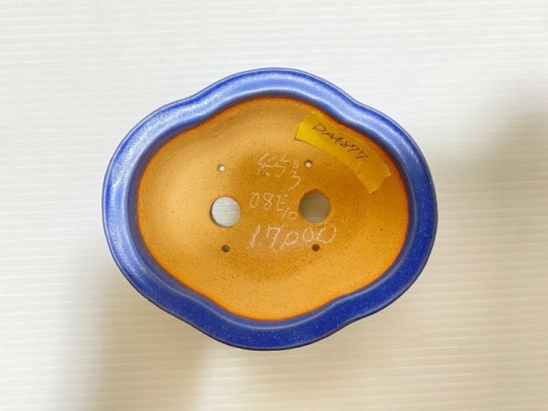 画像4: No.DA4877 黎鳳 (4)