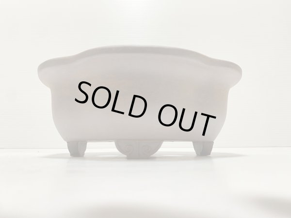 画像2: No.DA4883 黎鳳 (2)