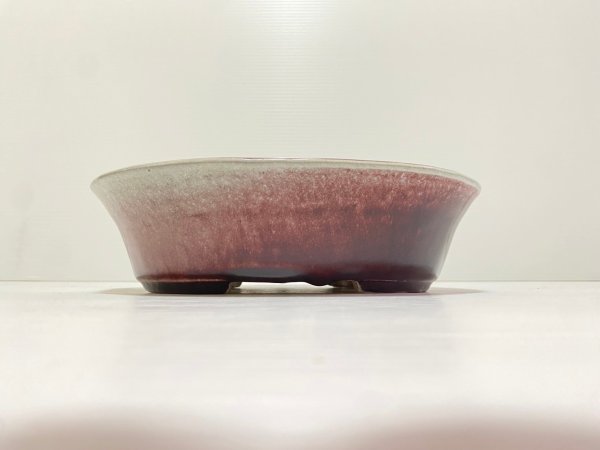 画像2: No.DA4884 鴻陽 (2)