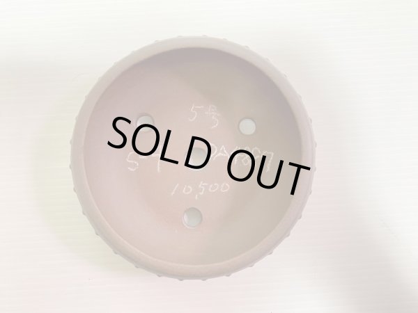 画像3: No.DA4887 黎鳳 (3)