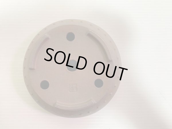 画像4: No.DA4887 黎鳳 (4)