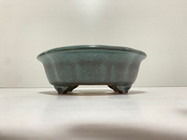 盆栽鉢　黎鳳 黎 鳳 | 盆栽、盆栽書籍、盆栽鉢の通販│近代出版