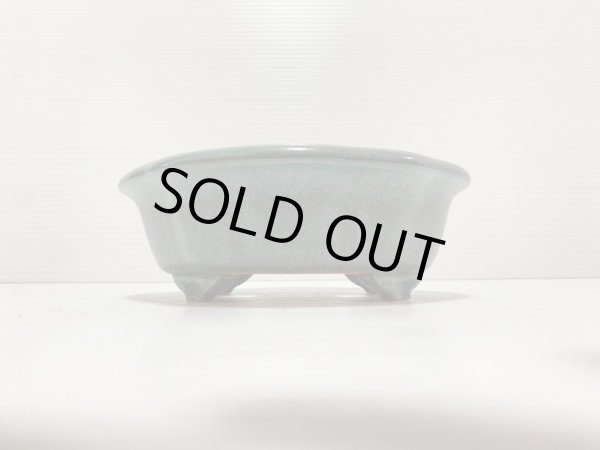 画像2: No.DA4888 黎鳳 (2)