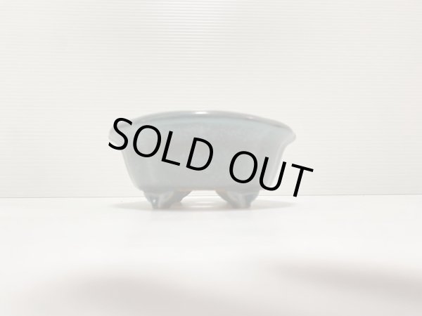 画像3: No.DA4888 黎鳳 (3)