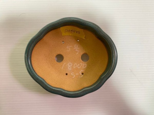 画像4: No.DA4888 黎鳳 (4)