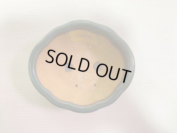 画像4: No.DA4888 黎鳳 (4)