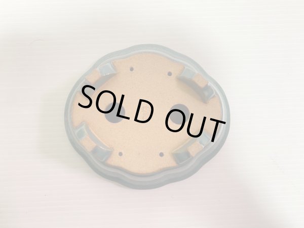 画像5: No.DA4888 黎鳳 (5)