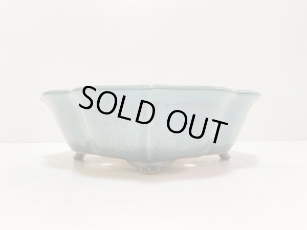 画像2: No.DA4889 黎鳳 (2)