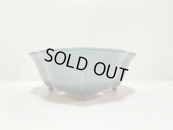 画像3: No.DA4889 黎鳳 (3)