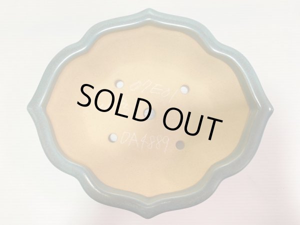 画像4: No.DA4889 黎鳳 (4)