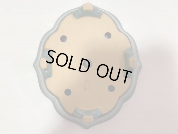 画像5: No.DA4889 黎鳳 (5)