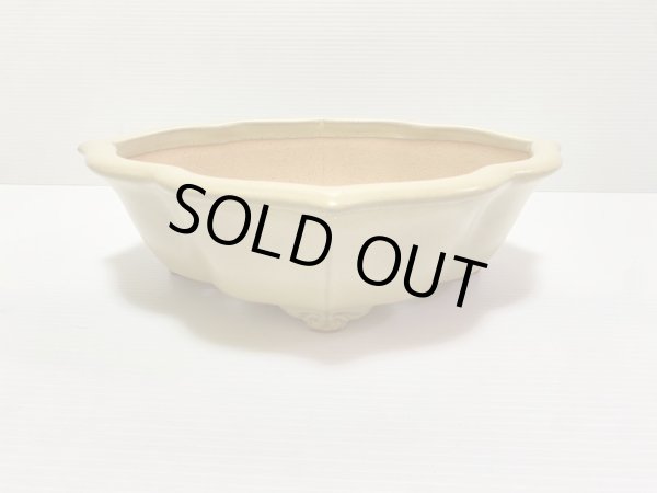 画像1: No.DA4890 黎鳳 (1)