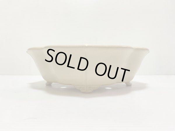 画像2: No.DA4890 黎鳳 (2)