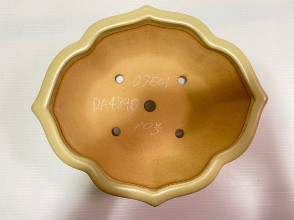 画像4: No.DA4890 黎鳳 (4)