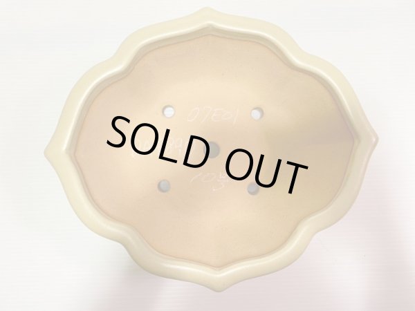 画像4: No.DA4890 黎鳳 (4)