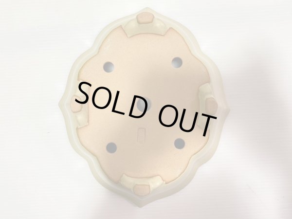 画像5: No.DA4890 黎鳳 (5)