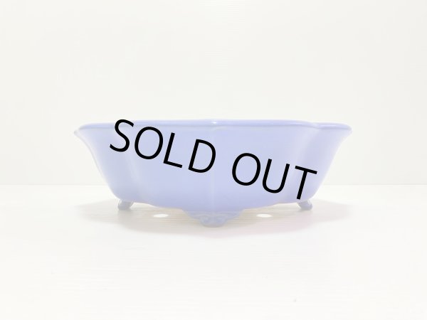 画像2: No.DA4891 黎鳳 (2)