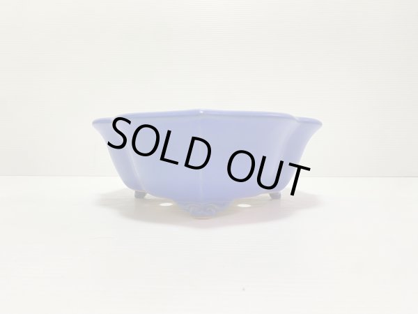 画像3: No.DA4891 黎鳳 (3)