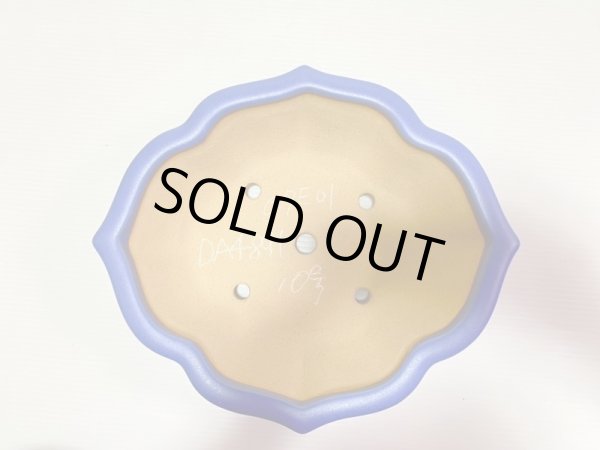 画像4: No.DA4891 黎鳳 (4)