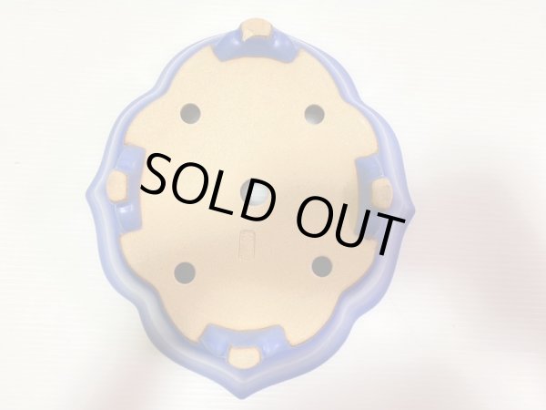 画像5: No.DA4891 黎鳳 (5)