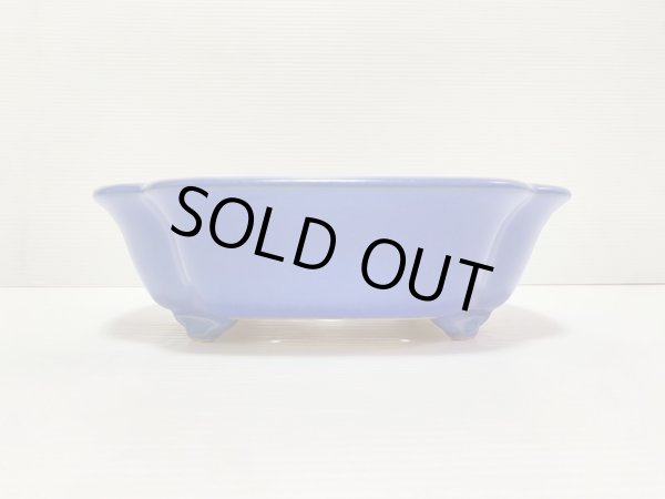 画像2: No.DA4892 黎鳳 (2)