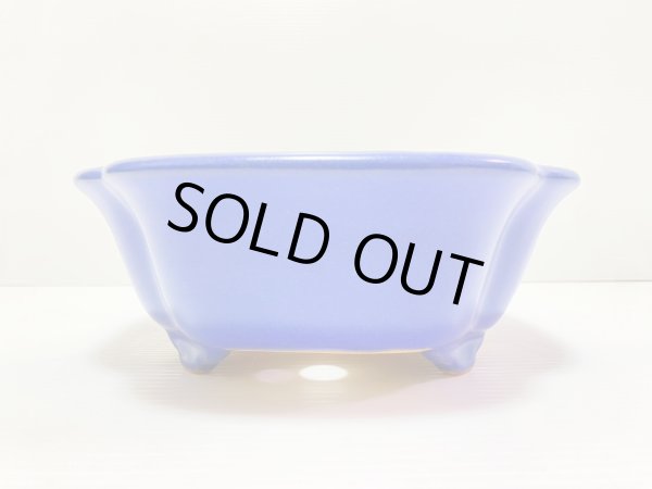 画像3: No.DA4892 黎鳳 (3)