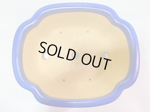 画像4: No.DA4892 黎鳳 (4)