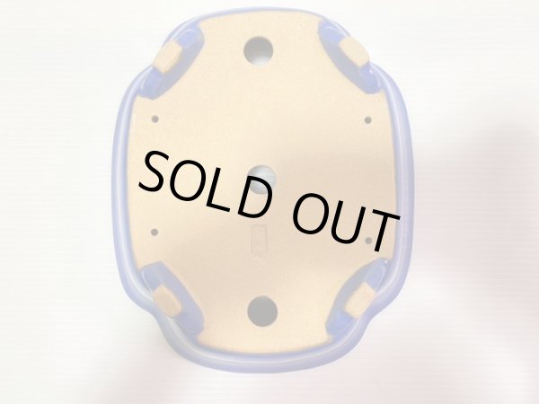 画像5: No.DA4892 黎鳳 (5)