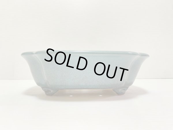 画像2: No.DA4893 黎鳳 (2)