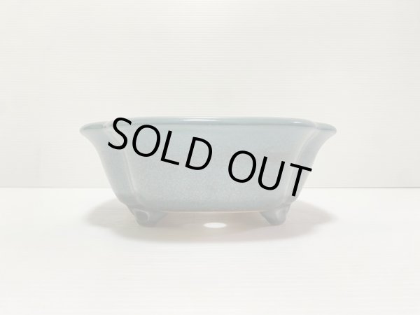 画像3: No.DA4893 黎鳳 (3)