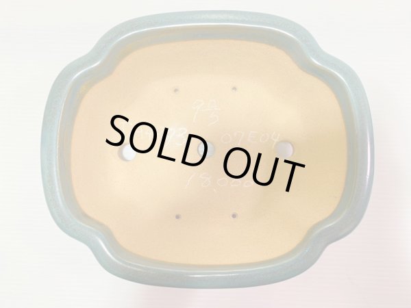 画像4: No.DA4893 黎鳳 (4)