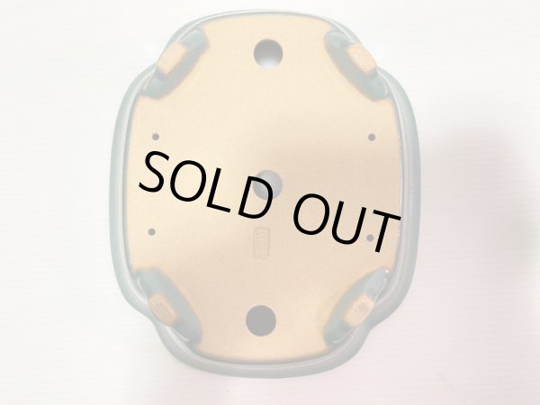 画像5: No.DA4893 黎鳳 (5)