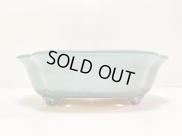 画像2: No.DA4895 黎鳳 (2)