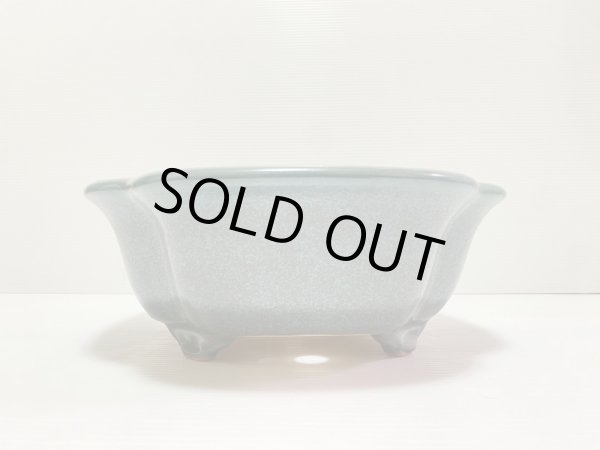 画像3: No.DA4895 黎鳳 (3)