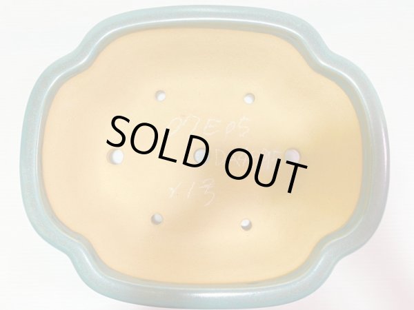 画像4: No.DA4895 黎鳳 (4)