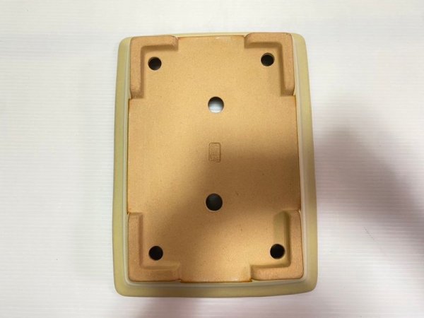 画像5: No.DA4896 黎鳳 (5)