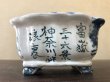 画像2: No.ER0463  陶翠 (2)