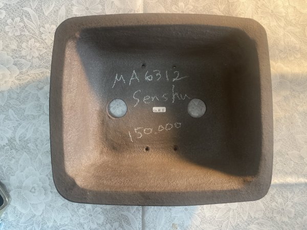 画像2: No.MA6312  仙舟鉢　長角　ウ泥 (2)