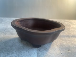 美芸　盆栽鉢 美芸 特選鉢 - Bonsai Network Japan