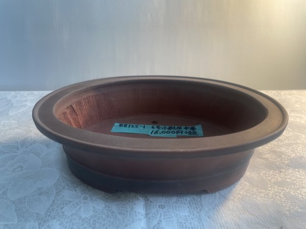 画像1: No.MA6322  美芸6号小判反中帯 (1)