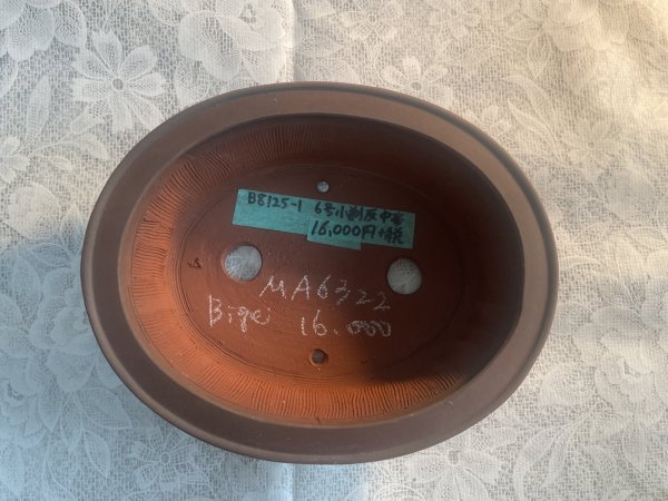 画像2: No.MA6322  美芸6号小判反中帯 (2)