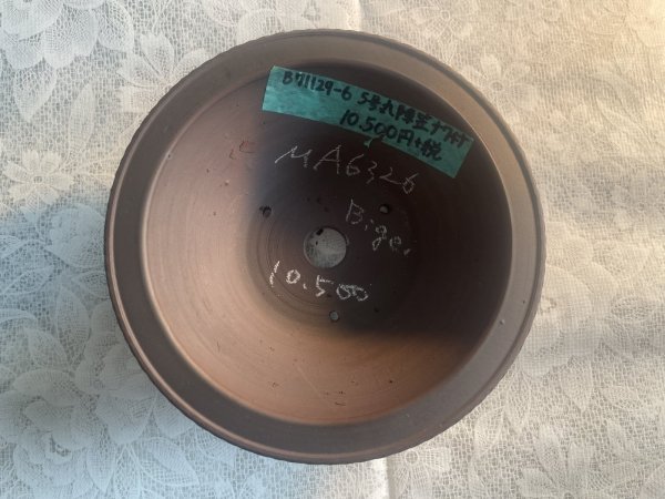 画像2: No.MA6326  美芸5号カブト丸陣笠ナワ付 (2)